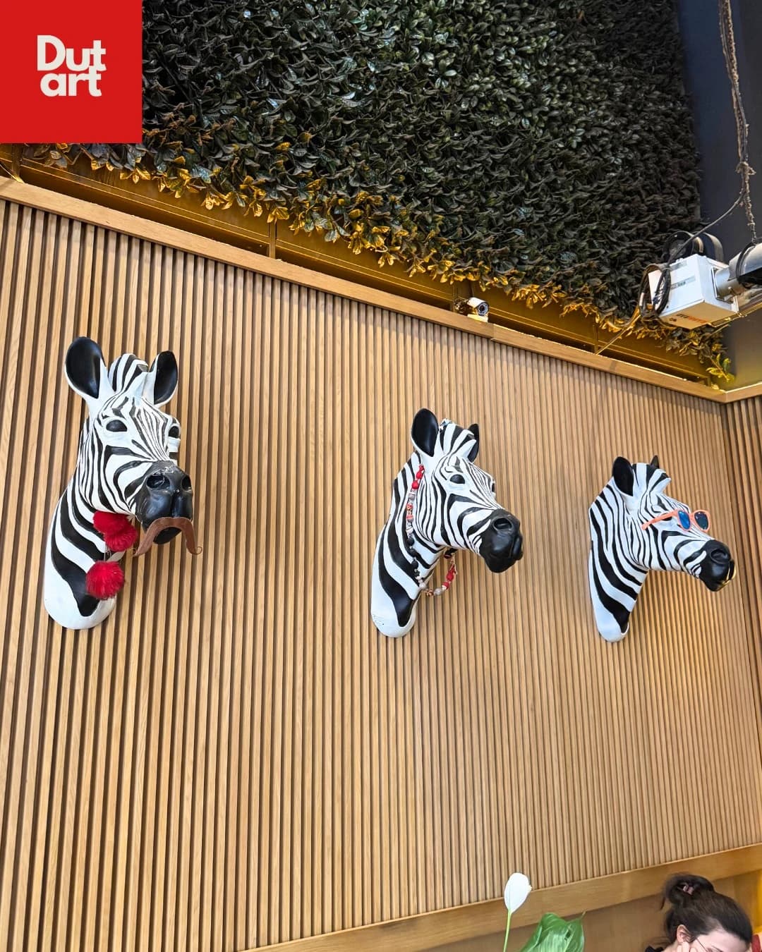 Zebra Kafası Duvar Dekor Fiberglas